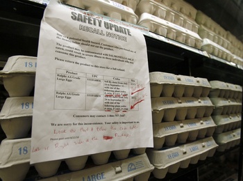 Egg Recall_Murr.jpg